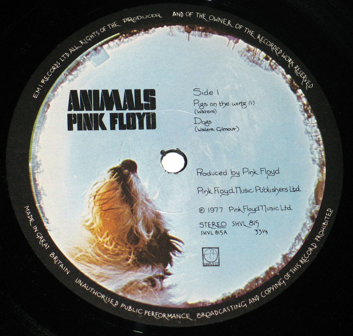 High Resolution Photo #5 PINK FLOYD Animals Gt. Britain 